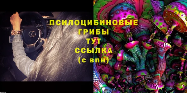 индика Новый Уренгой