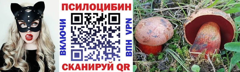 Псилоцибиновые грибы GOLDEN TEACHER купить цена Медвежьегорск
